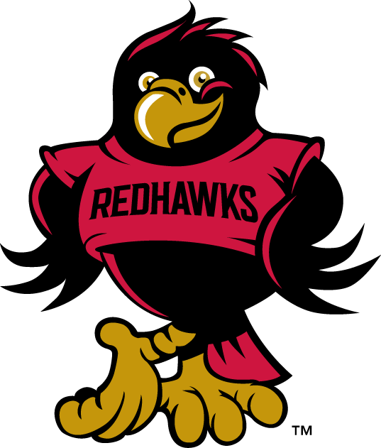 Seattle Redhawks 2008-Pres Mascot Logo diy DTF decal sticker